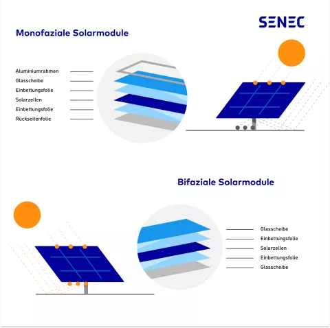 Die Grafik zeigt den Aufbau eines monofazialen Solarmoduls um Vergleich mit einem bifazialen Solarmodul.